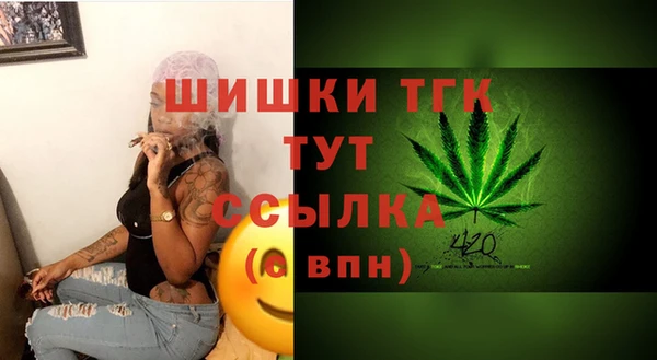 соль ск Алзамай