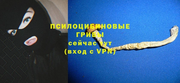 прущие грибы Алексеевка